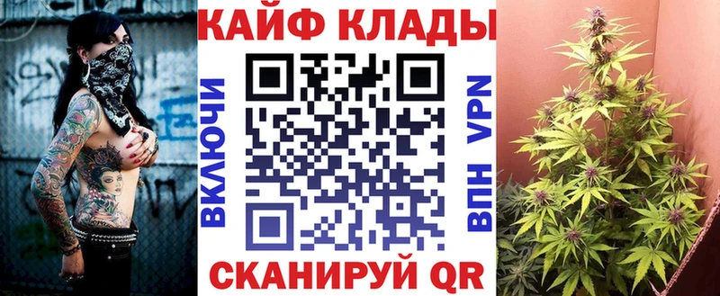 Псилоцибиновые грибы Байкальск