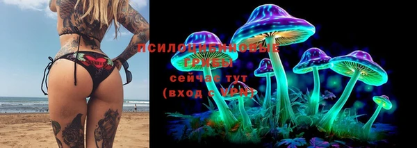 индика Арсеньев