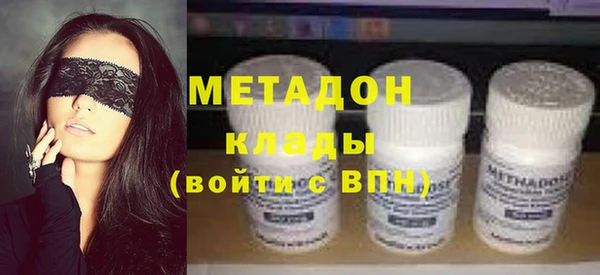 индика Арсеньев