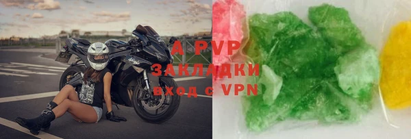 индика Арсеньев
