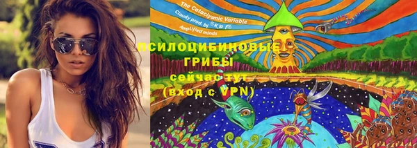 a pvp Аркадак