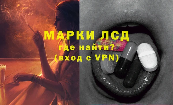 a pvp Аркадак