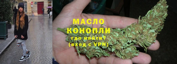индика Арсеньев