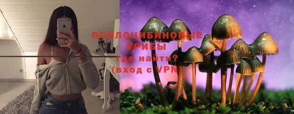 индика Арсеньев