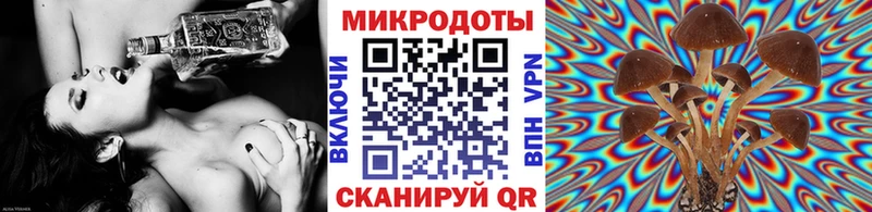 Галлюциногенные грибы GOLDEN TEACHER  даркнет сайт  Байкальск 